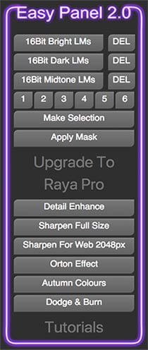 Raya Pro 3 For Mac